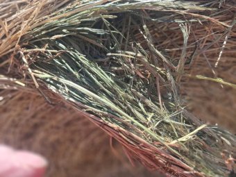 100 x Barley Vetch and Clover Hay 400kg 5x4 Rolls