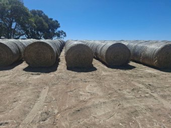 100 x Barley Vetch and Clover Hay 400kg 5x4 Rolls