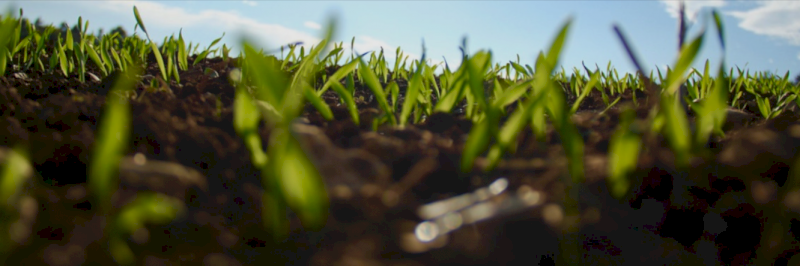 Tech Grade Monoammonium Phosphate