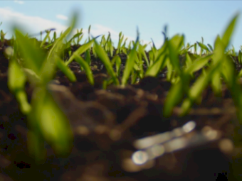 Tech Grade Monoammonium Phosphate