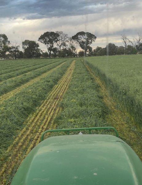 100 X Oaten Lucerne Hay 5X4 Round Bales