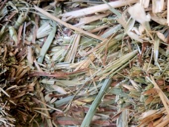140 mt Oaten Hay 8x4x3  25/26 Season