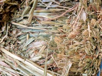 140 mt Oaten Hay 8x4x3  25/26 Season