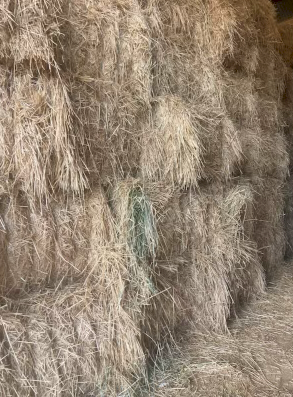 110mt Awnless Barley Hay 550kg 8x4x3 Bales