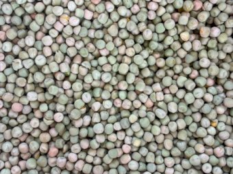 Oura Field Peas