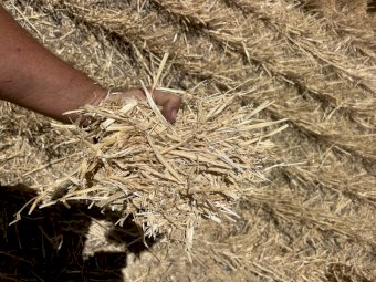 Wheaten Straw 8x4x3 Bales