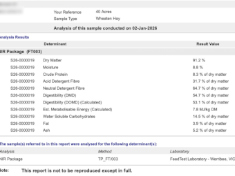 80mt Wheaten Hay 550-600kg 8x4x3 Bales