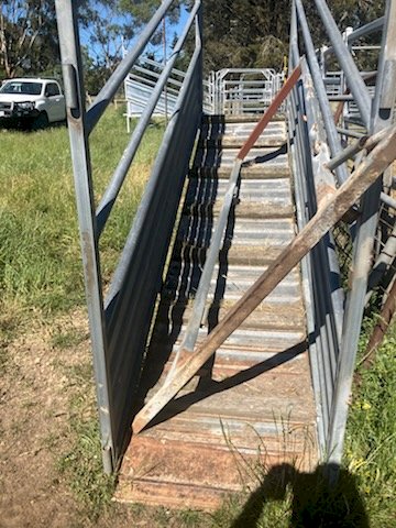 Metalcorp 3 Metre Sheep Loading Ramp