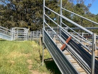 Metalcorp 3 Metre Sheep Loading Ramp