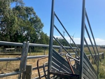 Metalcorp 3 Metre Sheep Loading Ramp