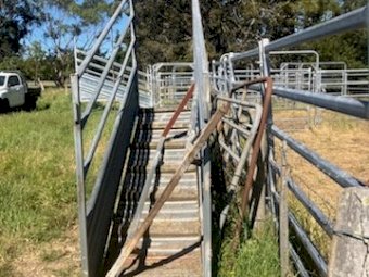 Metalcorp 3 Metre Sheep Loading Ramp