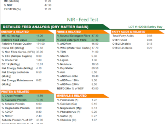 340mt Barley Hay 650kg 8x4x3 Bales