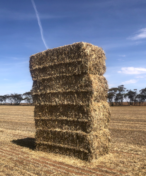 260mt Oaten Hay 650kg 8x4x3 Bales