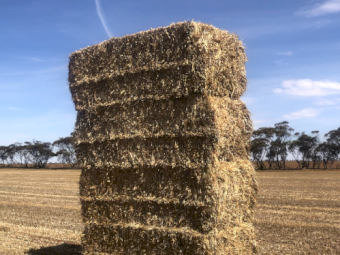 260mt Oaten Hay 650kg 8x4x3 Bales
