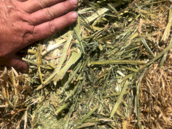 260mt Oaten Hay 650kg 8x4x3 Bales