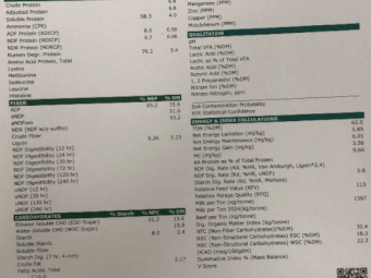 260mt Oaten Hay 650kg 8x4x3 Bales