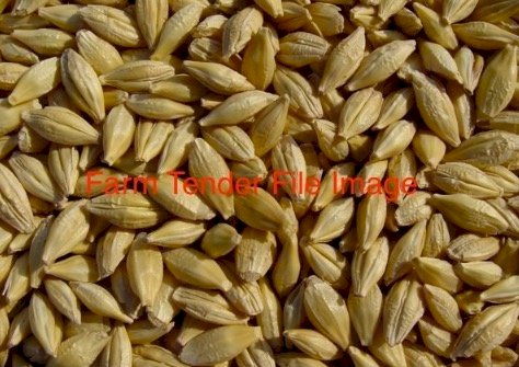 50MT Moby Barley