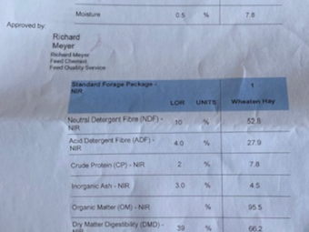 150mt Wheaten Rye Grass Hay 520kg 8x4x3 Bales