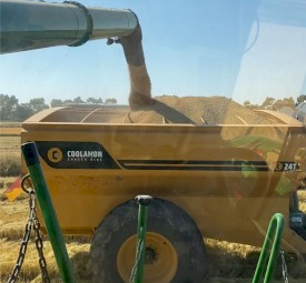 2021 Coolamon Chaser Bin