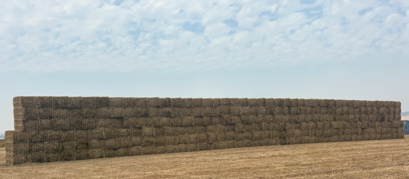400mt Oaten Hay 640-660kg 8x4x3 Bales
