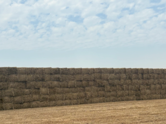 400mt Oaten Hay 640-660kg 8x4x3 Bales