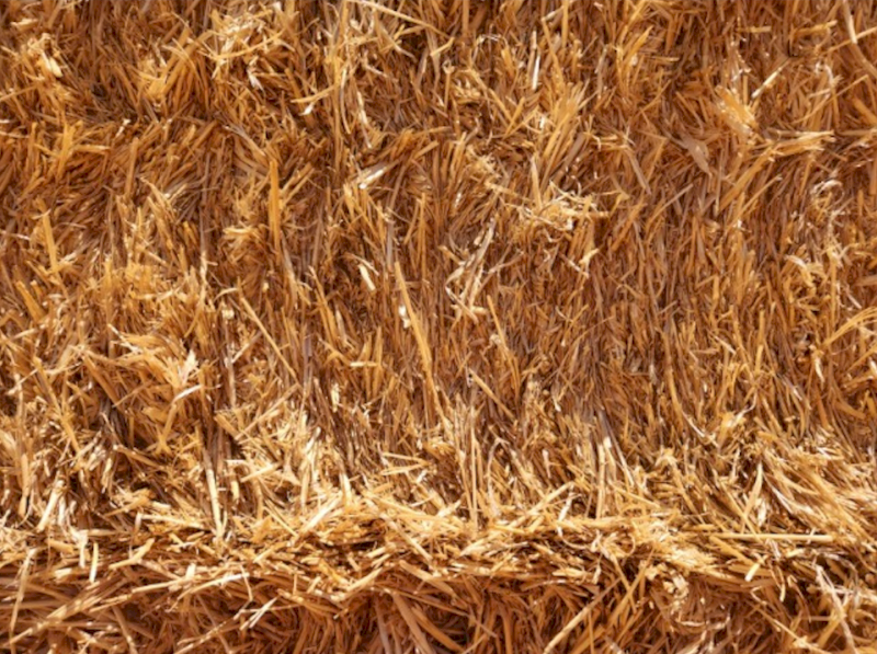 2000mt Barley Straw 8x4x3 Bales