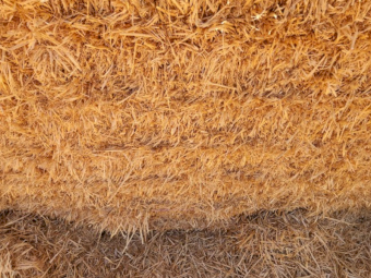2000mt Barley Straw 8x4x3 Bales