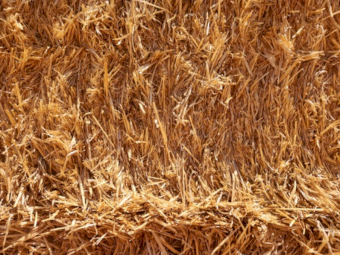 2000mt Barley Straw 8x4x3 Bales