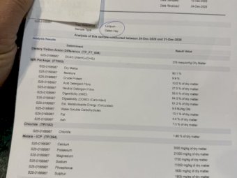 200mt Oaten Hay 650kg 8x4x3 Bales