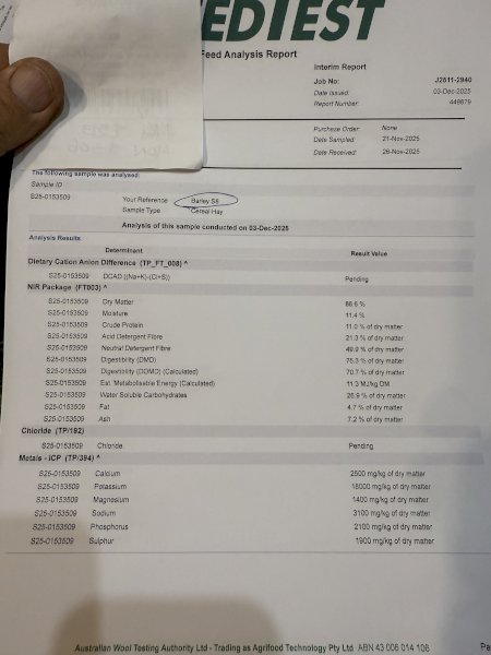 200mt Barley Hay 650kg 8x4x3 Bales