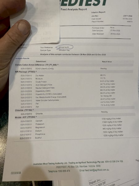 150mt Wheaten Hay 650kg 8x4x3 Bales