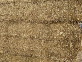 3000 mt Wheaten Header Tailings