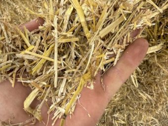 3000 mt Wheaten Header Tailings