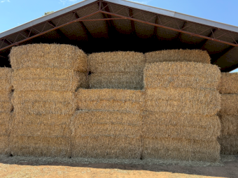 200mt Wheaten Hay 600-620kg 8x4x3 Bales