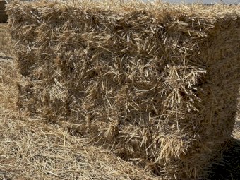 Wheaten Straw Small Square Bales
