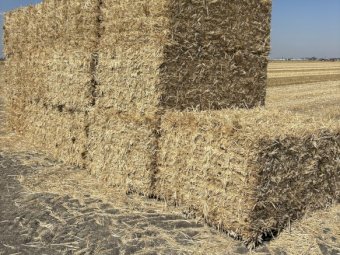 Wheaten Straw Small Square Bales