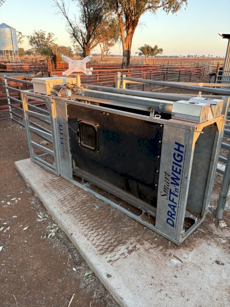 Breed Elite Auto Drafter