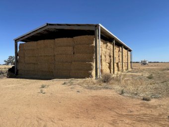500 mt Shedded Oaten Hay 25/26 Season