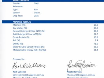 500 mt Shedded Oaten Hay 25/26 Season