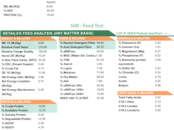 300 x Pasture Hay Silage 4x4 Rolls