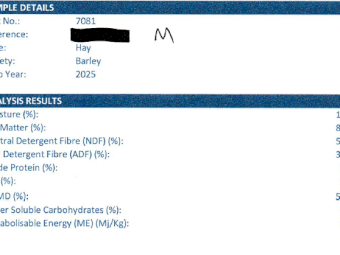 300mt Clover, Barley and Rye Hay 8x4x3 Bales