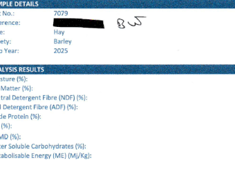 300mt Clover, Barley and Rye Hay 8x4x3 Bales
