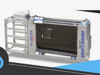 Breed Elite Auto Drafter