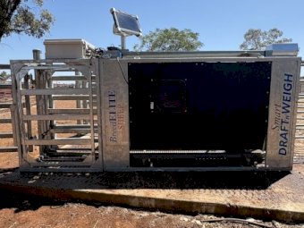 Breed Elite Auto Drafter