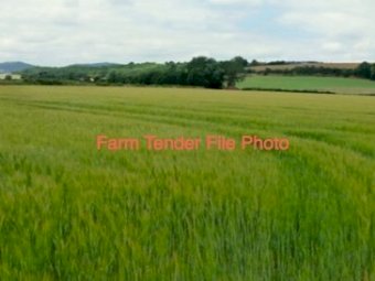 WANTED Standing Wheat or Barley Straw Crop