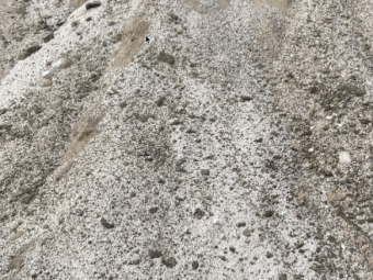 Sweepings ex Adelaide