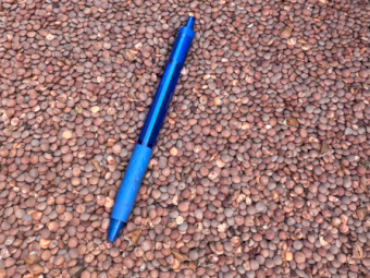 25mt Highland Lentils