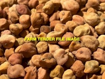WANTED 100mt Kyabra Chickpeas
