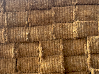 28mt Vetch Hay 650-675kg 8x4x3 Bales