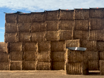 28mt Vetch Hay 650-675kg 8x4x3 Bales